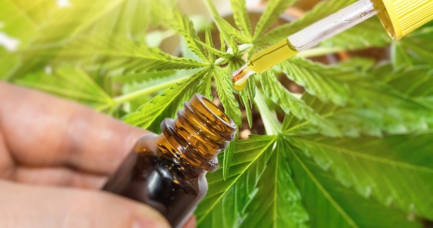 El Concejo Deliberante de Lomas aprobó el uso medicinal de cannabis