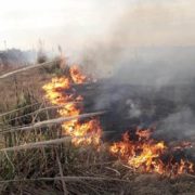 Denuncian nuevos incendios intencionales en la reserva de Santa Catalina