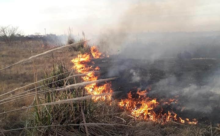 Denuncian nuevos incendios intencionales en la reserva de Santa Catalina