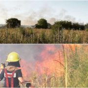 Laguna de Rocha: exigen alertas para combatir incendios