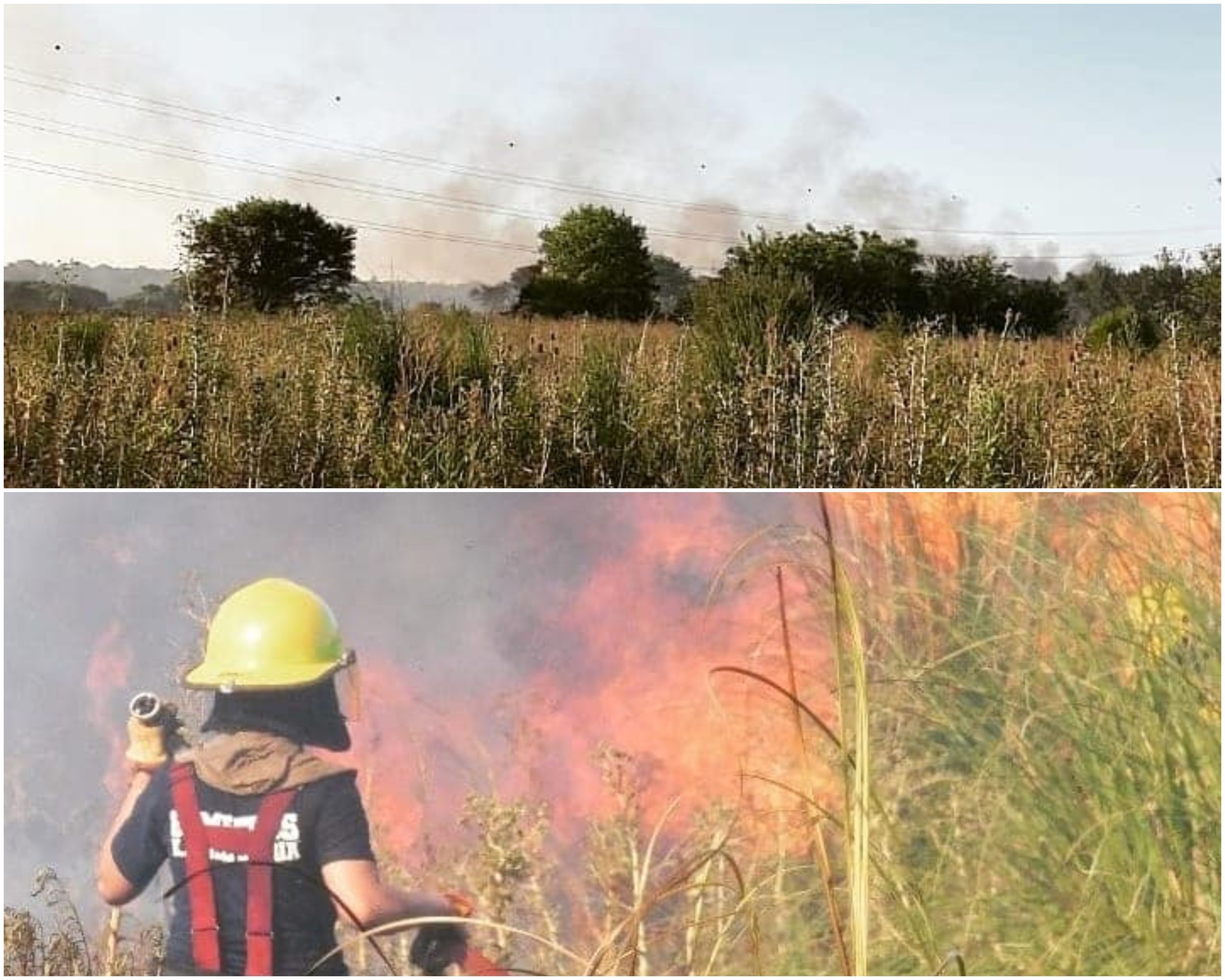 Laguna de Rocha: exigen alertas para combatir incendios