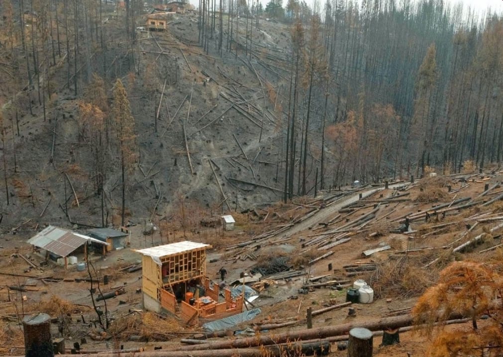 Tras el incendio, las familias de la Comarca Andina avanzan en la reconstrucción de los hogares