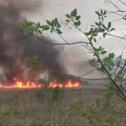 Denuncian reiterados incendios en Santa Catalina y exigen la protección del humedal