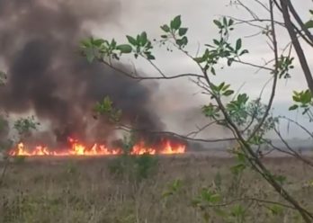 Denuncian reiterados incendios en Santa Catalina y exigen la protección del humedal