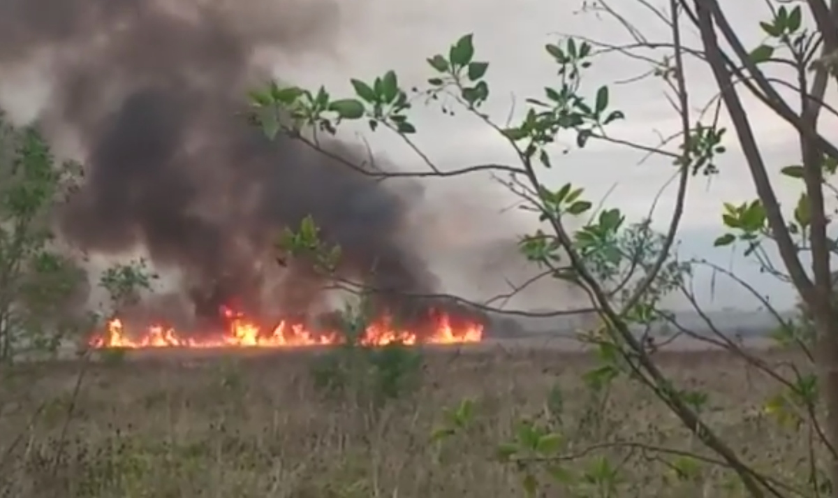 Denuncian reiterados incendios en Santa Catalina y exigen la protección del humedal