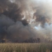 La Laguna de Rocha sufrió otro incendio