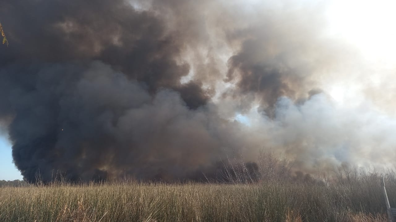 La Laguna de Rocha sufrió otro incendio