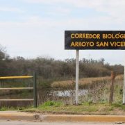 Vecinos Autoconvocados organizan festival para salvar el Arroyo San Vicente