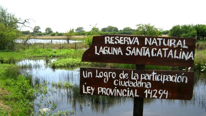 Laguna de Rocha y Santa Catalina: los humedales en el sur del Conurbano y por qué corre riesgo la ley