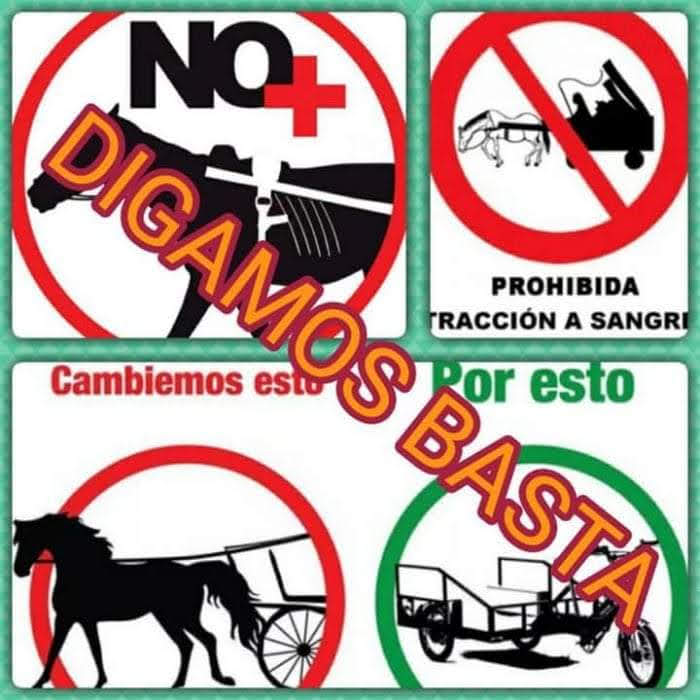 Una iniciativa para prohibir la tracción a sangre