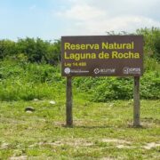 Conocer para defender: realizarán un Campamento por la Laguna de Rocha