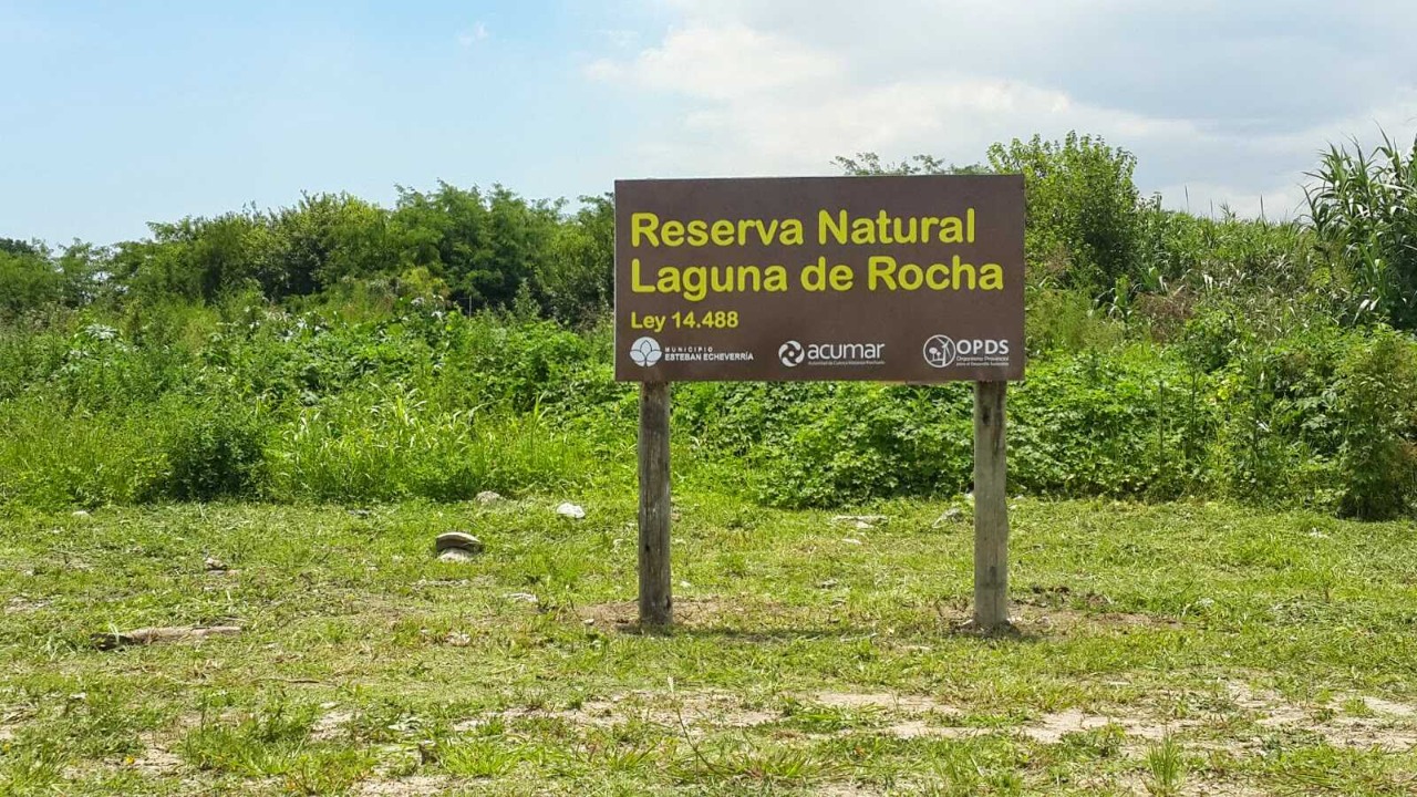 Conocer para defender: realizarán un Campamento por la Laguna de Rocha