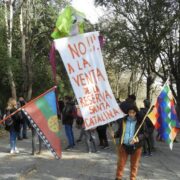 Santa Catalina: ambientalistas denuncian la licitación para la venta de hectáreas protegidas