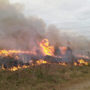 Denuncian incendios intencionales en Santa Catalina