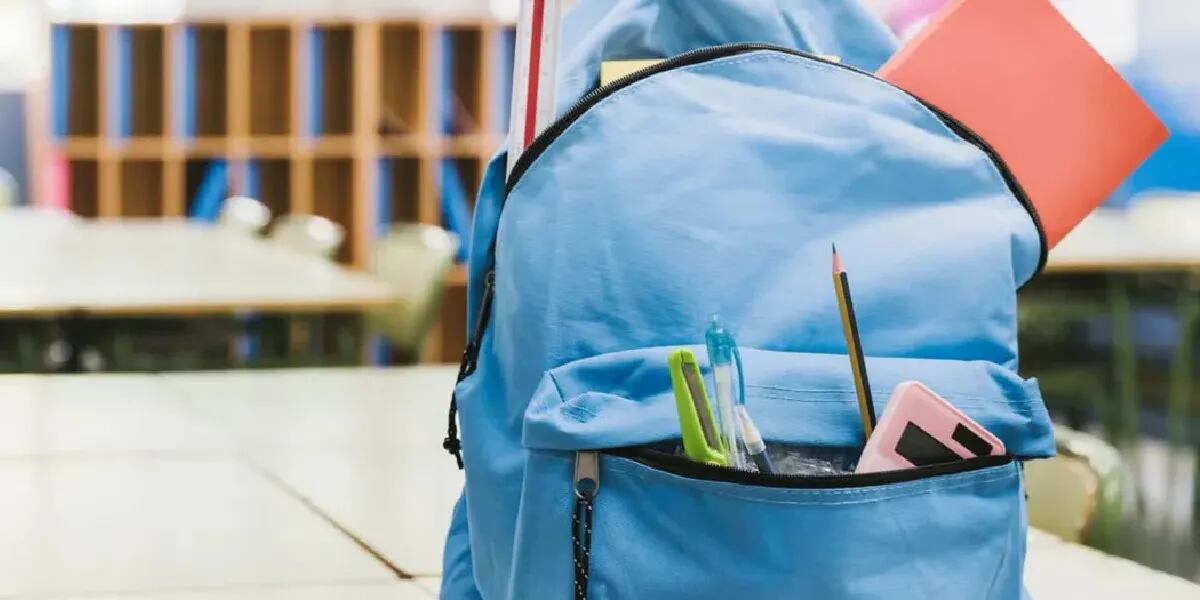 Canasta escolar 2024: la mochila llega con un aumento de un 450 por ciento