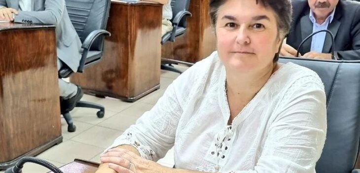 Preocupación de JxC por la inseguridad en Lanús: reclaman más patrullaje y mayor prevención del delito