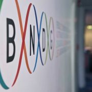Tras la advertencia de Abuelas, la Justicia intimó al Gobierno a explicar el desfinanciamiento del Banco Nacional de Datos Genéticos