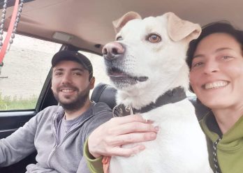 Rescatar animales en el Conurbano sur: entre la vocación y la deuda personal