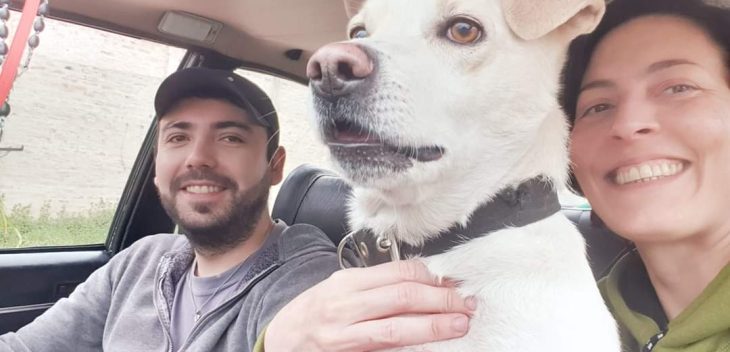 Rescatar animales en el Conurbano sur: entre la vocación y la deuda personal