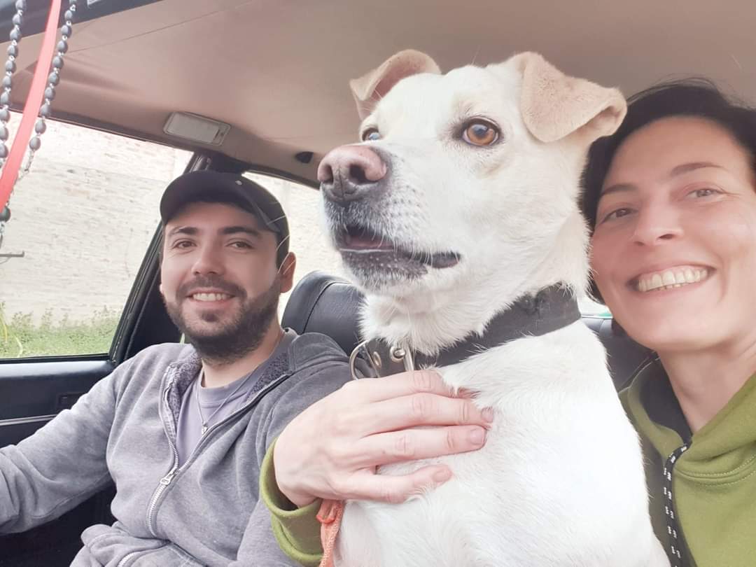 Rescatar animales en el Conurbano sur: entre la vocación y la deuda personal