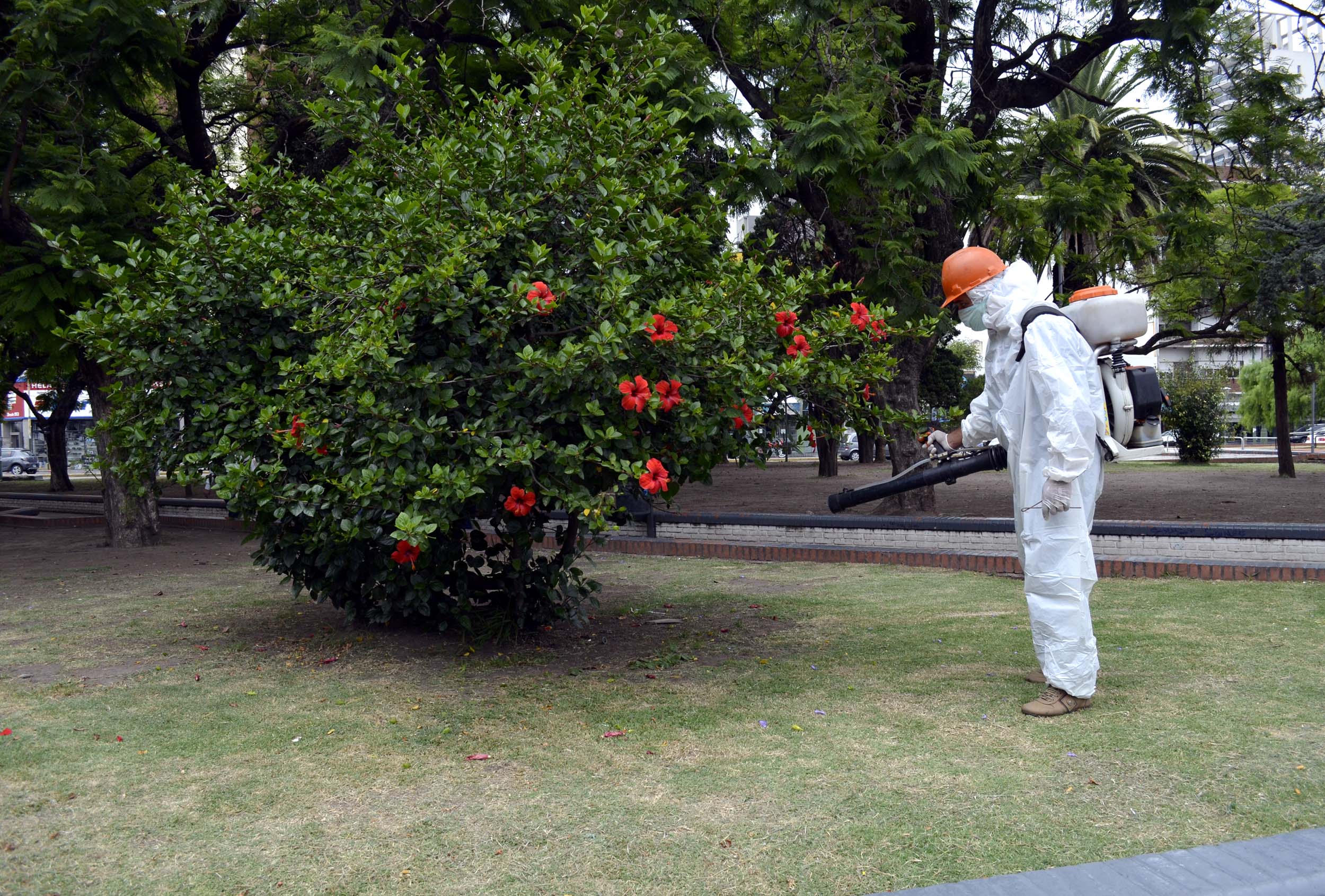 Continúan las tareas de prevención contra el dengue