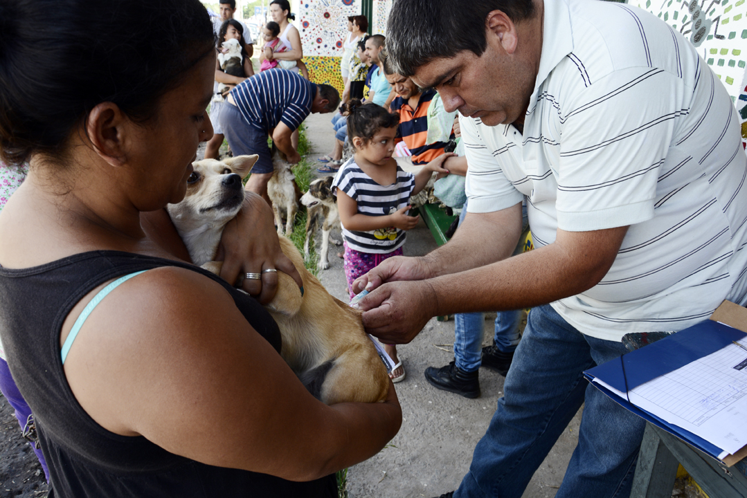 Comenzó a funcionar el servicio móvil de sanidad animal