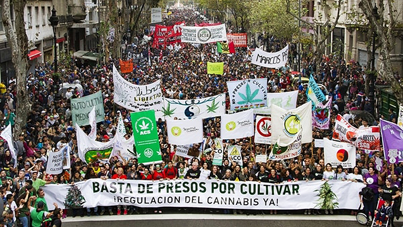 Por la legalización del cultivo de cannabis