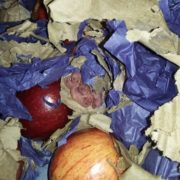 Lanús: encuentran un “nido de ratas” en alimentos para una escuela