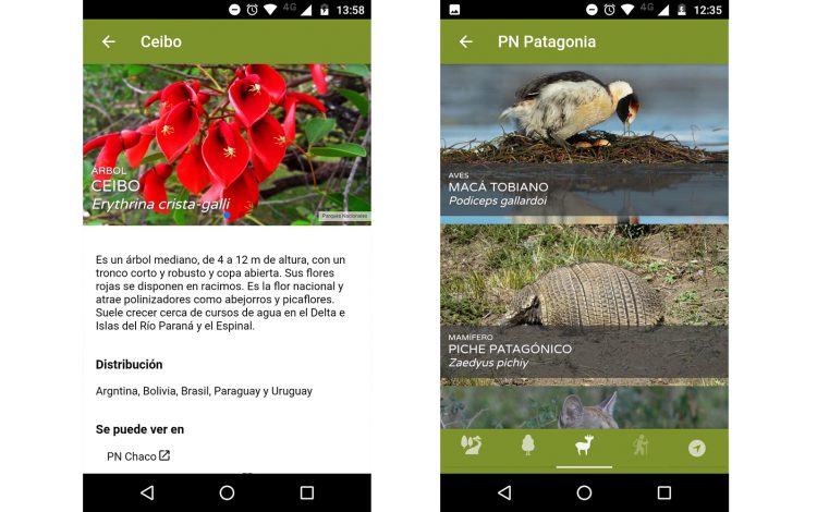 Argentina Natural, una aplicación para recorrer los Parques Nacionales