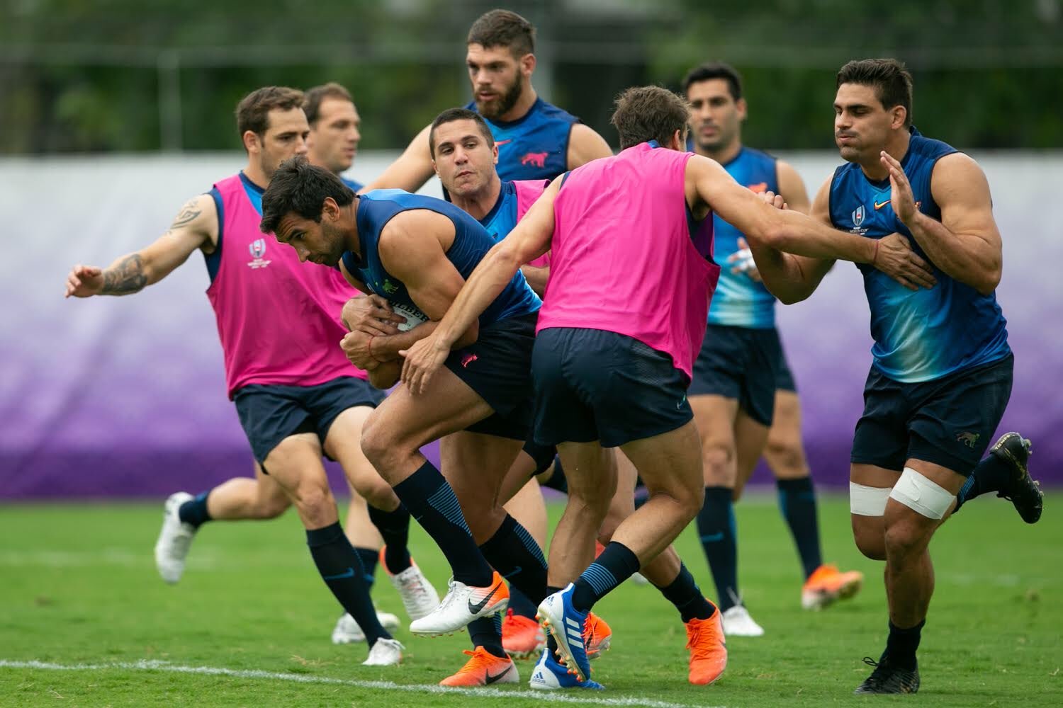 Los Pumas van por la recuperación