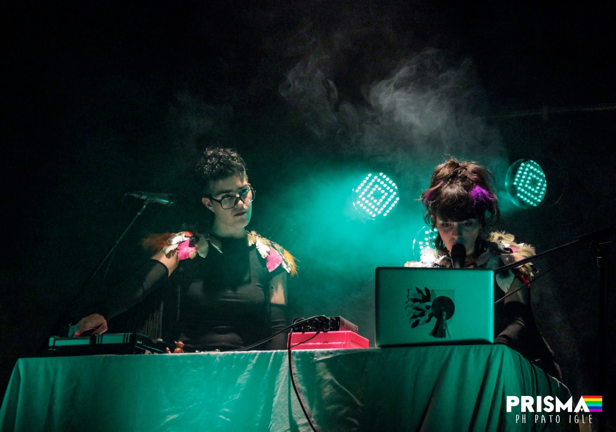 La mujer, el tornado, el jardín primitivo