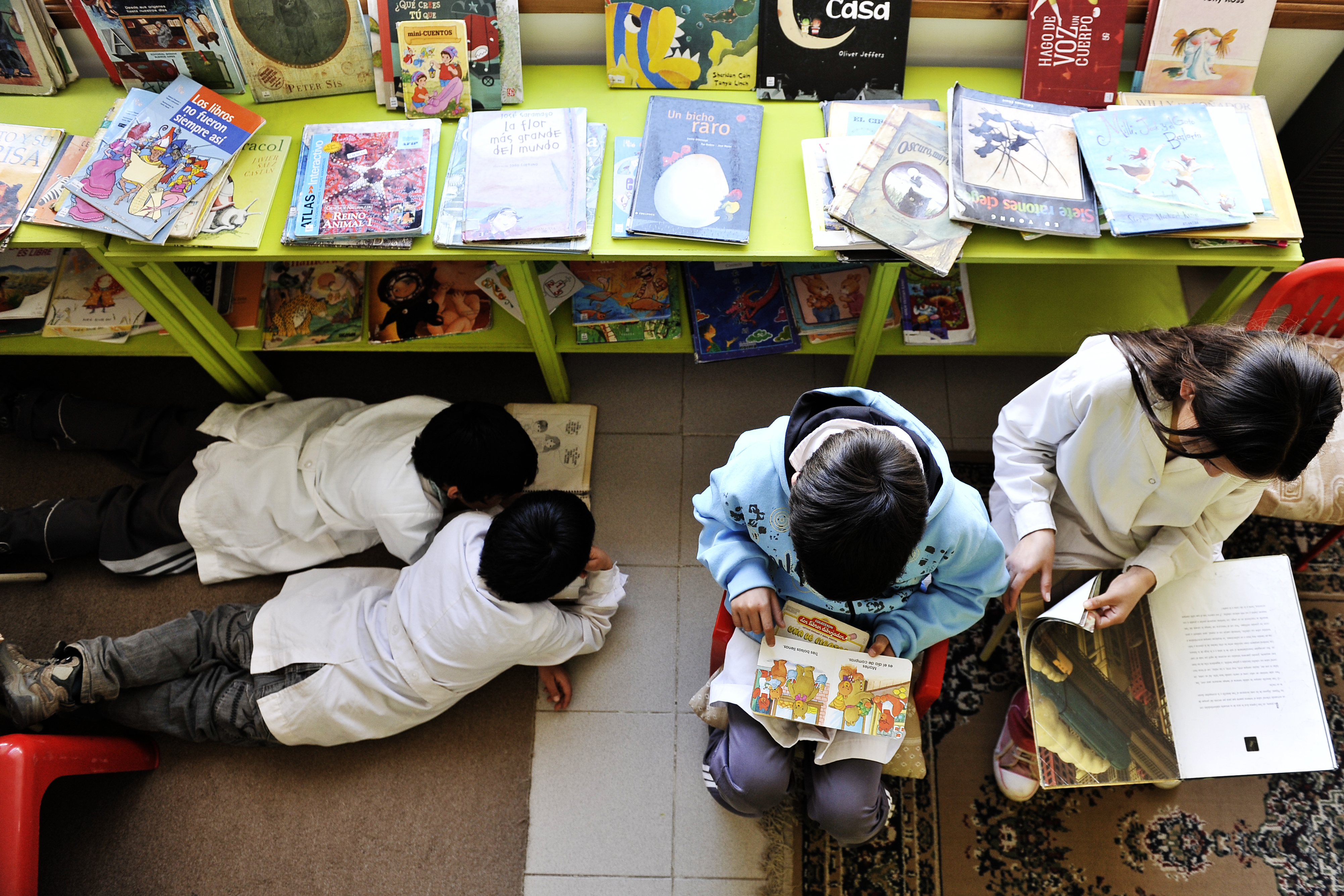 El sur celebra el Día de las Bibliotecas Populares