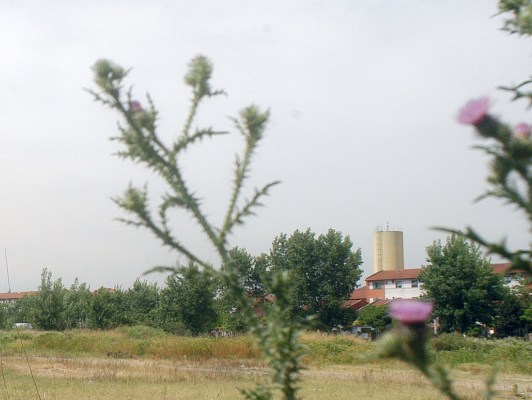 Disparos en un intento de toma de tierras