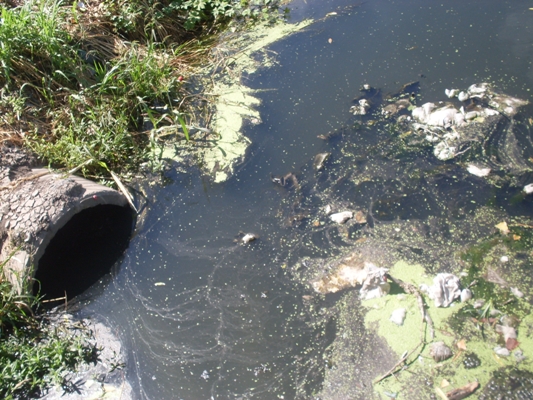 El saneamiento del Arroyo del Rey, una promesa que se dilata