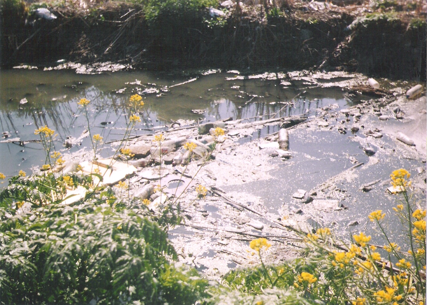 Nuevas denuncias  de contaminación en reservas