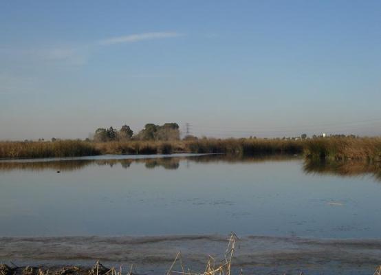 Controversias por la instalación de industrias en la Laguna de Rocha