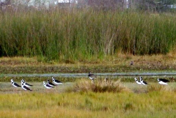 Unifican reclamos por la reserva