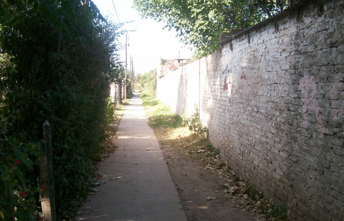 RematesCanuelas006xp4755.