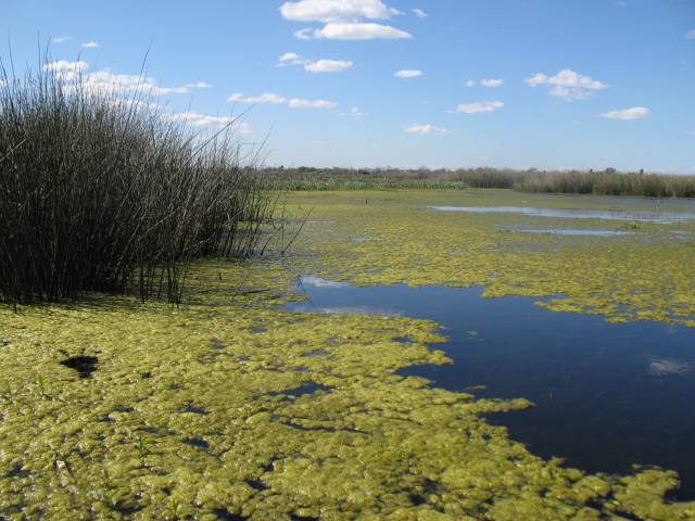 Santa Catalina, otro paso para convertirse en Reserva Natural