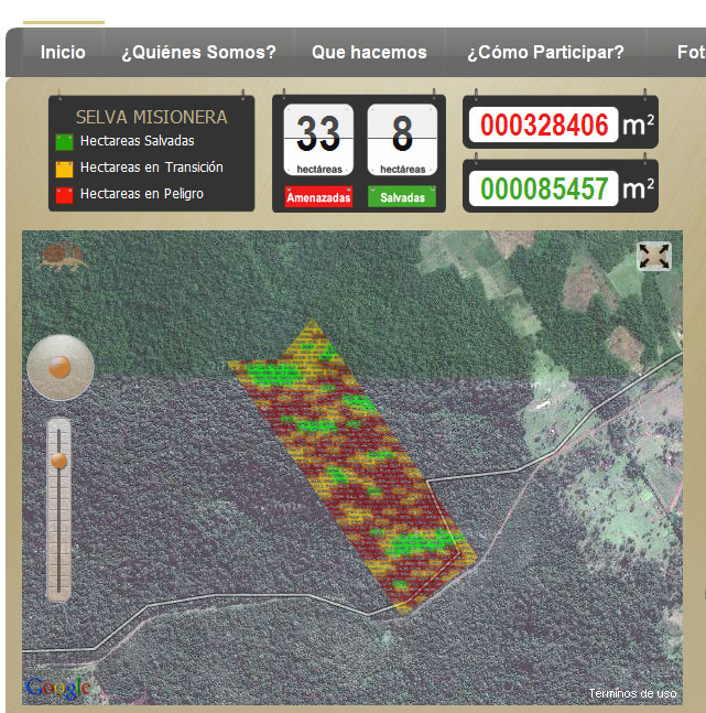 Banco de Bosques: preservar la tierra aprovechando la tecnología