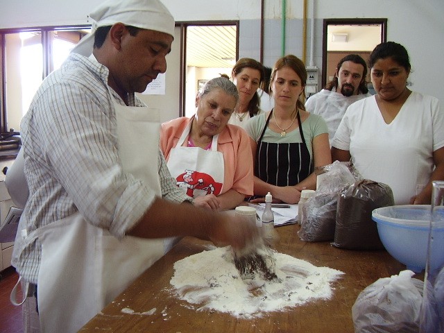 Desarrollan alimentos fortificados con hemoglobina bovina para optimizar la absorción de hierro