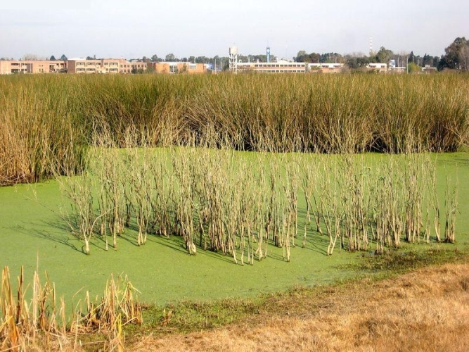 La planta de reciclaje en Santa Catalina no es un hecho, pero sí una posibilidad