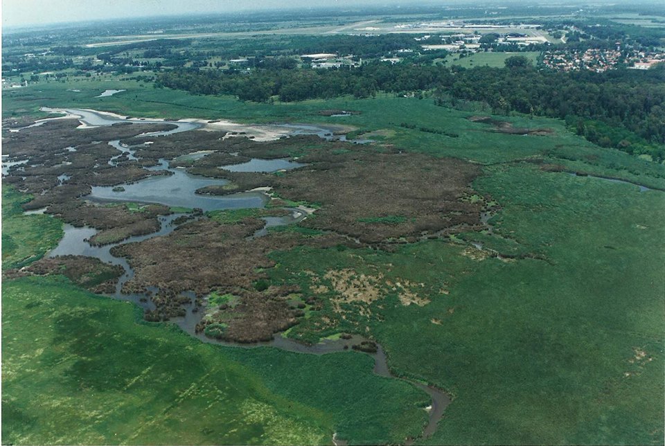 Historia y naturaleza en la Laguna de Rocha